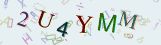 This is a captcha-picture. It is used to prevent mass-access by robots. (see: www.captcha.net)