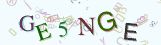 This is a captcha-picture. It is used to prevent mass-access by robots. (see: www.captcha.net)