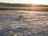 118-tocna-03012009-Ivan.jpg