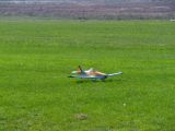 242-tocna-22082010-DavidC.jpg