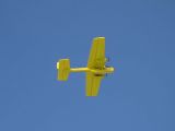 445-tocna-10012008-Kaiser.jpg