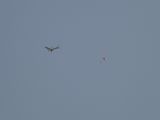 290-tocna-05042009-Janek.jpg