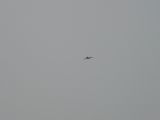 296-tocna-05042009-Janek.jpg