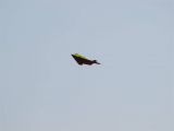 369-tocna-13042009-LadaZv.jpg