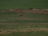 376-tocna-13042009-LadaZv.jpg