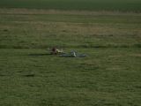 380-tocna-13042009-LadaZv.jpg