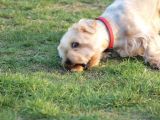 420-tocna-13042009-LadaZv.jpg