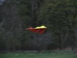 453-tocna-18042009.jpg