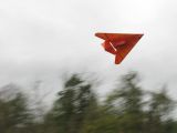 458-tocna-18042009.jpg