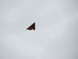 482-tocna-18042009.jpg