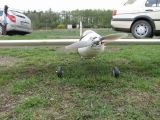 498-tocna-18042009.jpg