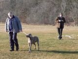 644-tocna-22012009-Janek.jpg