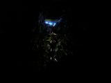 357-tocna-06072009-Janek.jpg