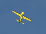 445-tocna-29072009-Janek.jpg