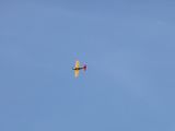 471-tocna-29072009-Janek.jpg