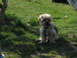 542-tocna-19042009.jpg