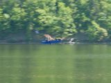 259-slapy-20110510-Janek.jpg