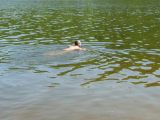 279-slapy-20110510-Janek.jpg
