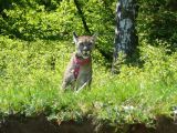 281-slapy-20110510-Janek.jpg