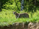 284-slapy-20110510-Janek.jpg