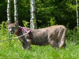 285-slapy-20110510-Janek.jpg