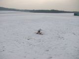 103-tocna-20120128.jpg