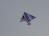 118-tocna-20120128-Janek.jpg
