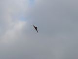 106-tocna-20130210-Janek.jpg