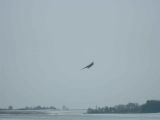 117-tocna-20130215-Jozka.jpg