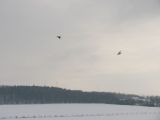 153-tocna-20130224.jpg