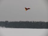 166-tocna-20130224.jpg