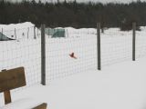172-tocna-20130224.jpg