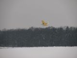 178-tocna-20130224.jpg