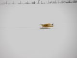 179-tocna-20130224.jpg