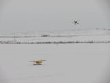 185-tocna-20130224.jpg