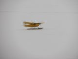 190-tocna-20130224.jpg