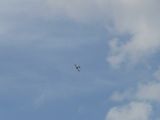 140-tocna-15082010-Janek.jpg