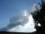 146-tocna-15082010-Janek.jpg