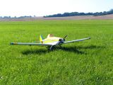 230-tocna-22082010-DavidC.jpg