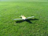231-tocna-22082010-DavidC.jpg