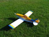 233-tocna-22082010-DavidC.jpg