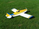 234-tocna-22082010-DavidC.jpg