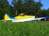 237-tocna-22082010-DavidC.jpg