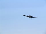 239-tocna-22082010-DavidC.jpg